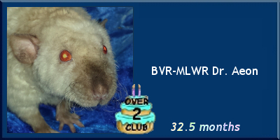 BVR-MLWR Dr. Aeon