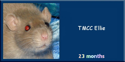TMCC Ellie