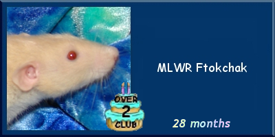 MLWR Ftokchak