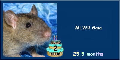 MLWR Gaia