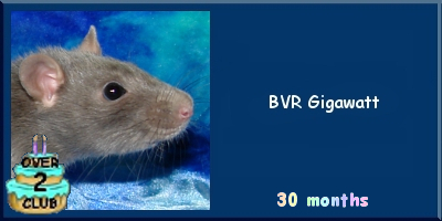 BVR Gigawatt