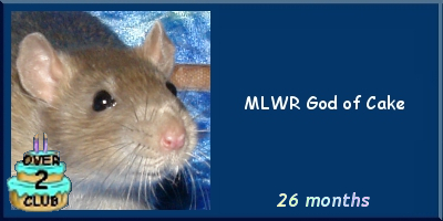MLWR God of Cake