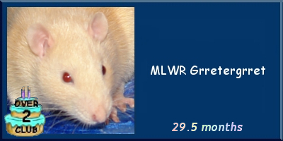 MLWR Grretergrret