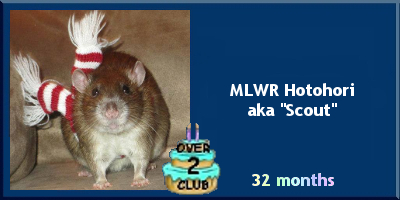 MLWR Hotohori