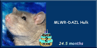 MLWR-DAZL Hulk