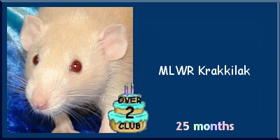 MLWR Krakkilak