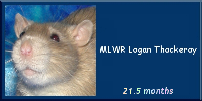MLWR Logan Thackery