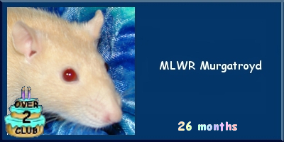 MLWR Murgatroyd