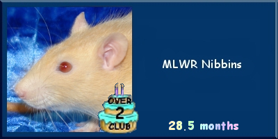 MLWR Nibbins