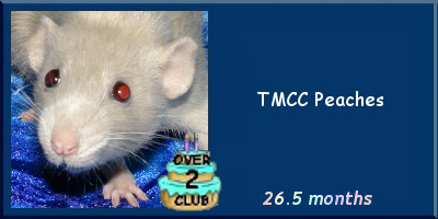 TMCC Peaches