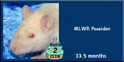 MLWR Poseidon