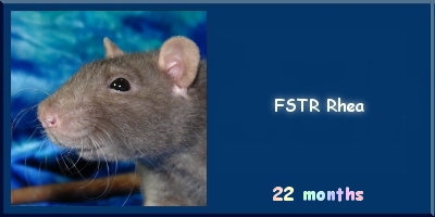 FSTR Rhea