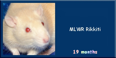 MLWR Rikkiti
