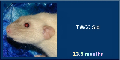 TMCC Sid