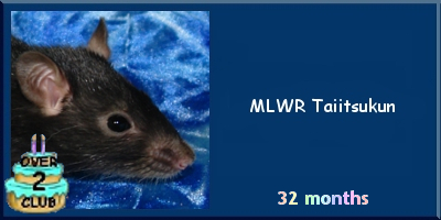 MLWR Taiitsukun