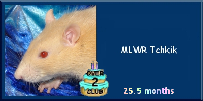 MLWR Tchkik