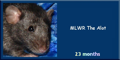 MLWR The Alot