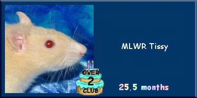 MLWR Tissy