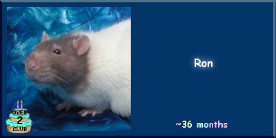 Ron